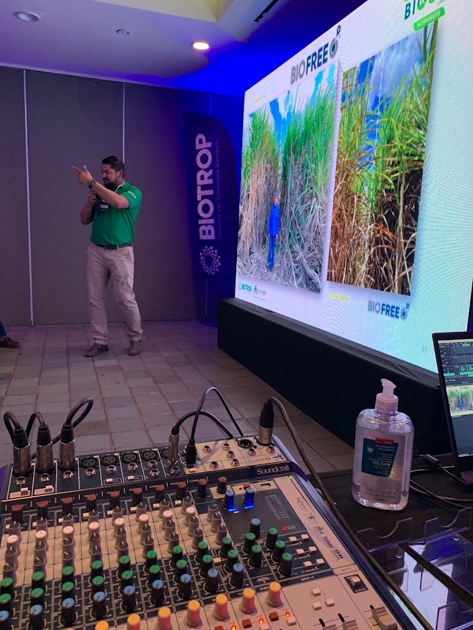 Painel de Led, sonorização 